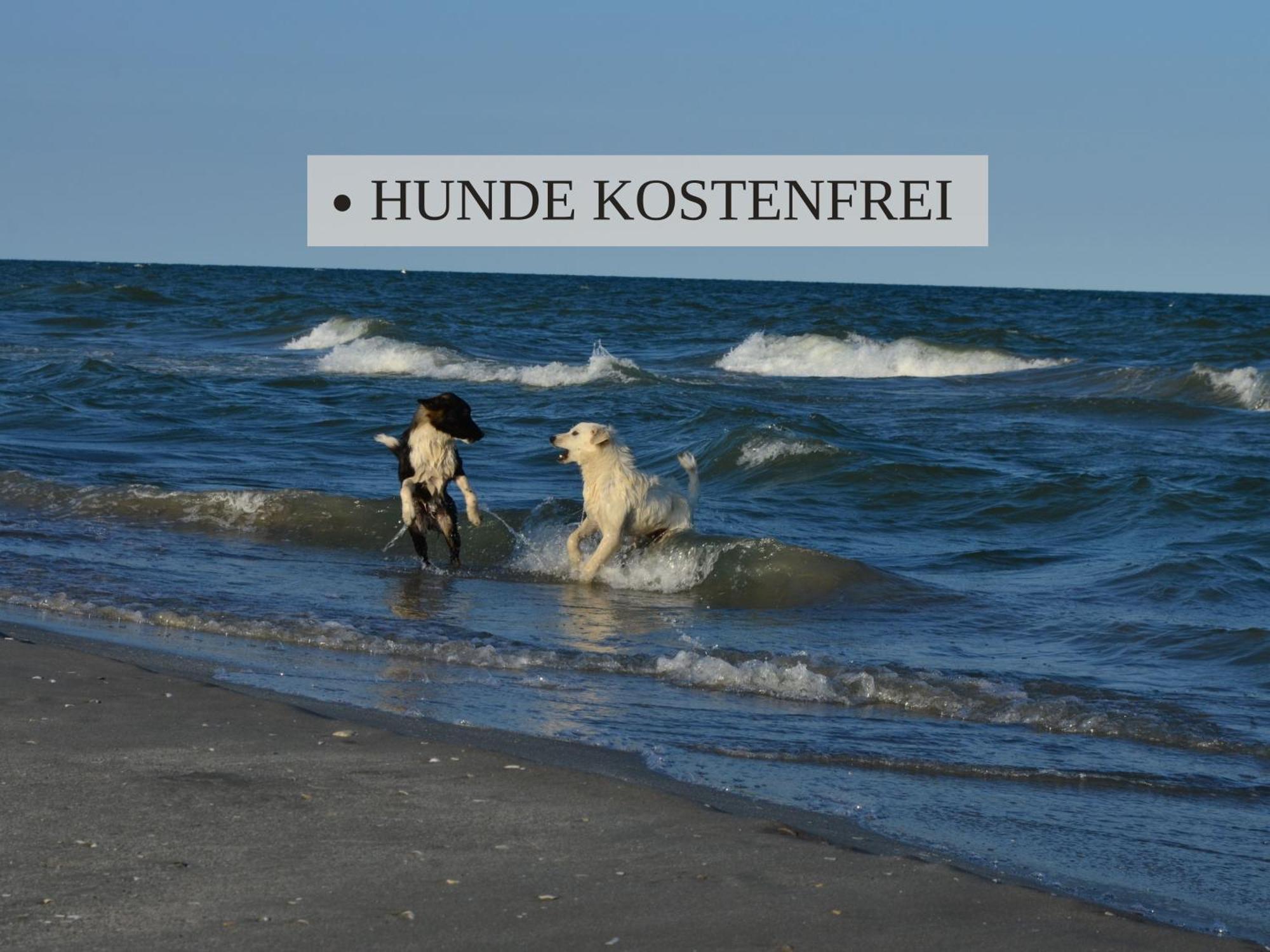 Haus Krabbe Apartments, Zentral Gelegen Im Idyllischen Nordseeort Zwischen Bremerhaven Und Cuxhaven, Hunde Kostenfrei Willkommen, Hauseigene Kostenfreie Parkplaetze Wremen Buitenkant foto